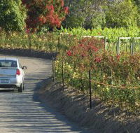 Cassegrain Wines - Northern Rivers Accommodation