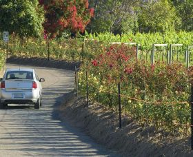 Cassegrain Wines - Northern Rivers Accommodation 0