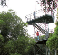 Cape Hawke lookout - Northern Rivers Accommodation