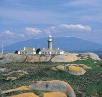 Montague Island Nature Reserve - Northern Rivers Accommodation
