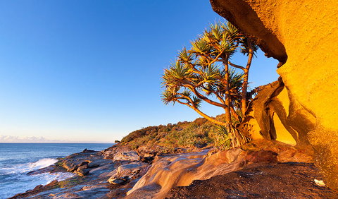 Angourie To Brooms Head - Northern Rivers Accommodation 1