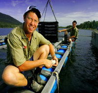 Armstrong Oysters - Northern Rivers Accommodation
