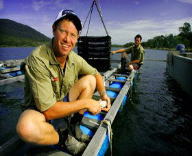 Armstrong Oysters - Northern Rivers Accommodation 0