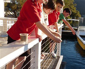 Dunbogan Boatshed - Northern Rivers Accommodation 3