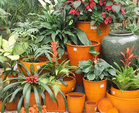 Diamond Waters Garden Nursery - Northern Rivers Accommodation 1
