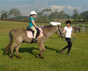 Port Macquarie Horse Riding Centre - Northern Rivers Accommodation 0