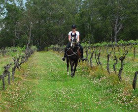 Port Macquarie Horse Riding Centre - Northern Rivers Accommodation 1