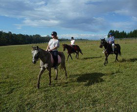 Port Macquarie Horse Riding Centre - Northern Rivers Accommodation 5