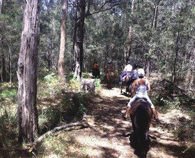 Port Macquarie Horse Riding Centre - Northern Rivers Accommodation 4
