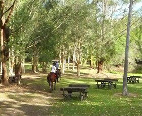 Port Macquarie Horse Riding Centre - Northern Rivers Accommodation 6