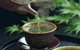 World Par-TEA - thumb 0