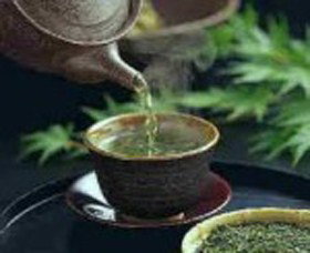 World Par-TEA - Northern Rivers Accommodation 0