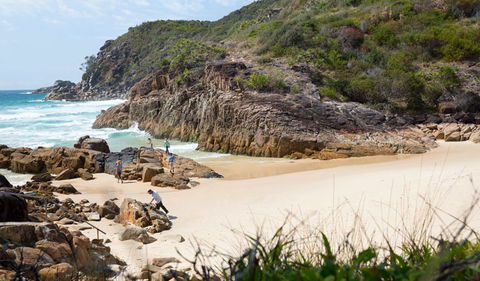 Little Bay Beach - Northern Rivers Accommodation 3