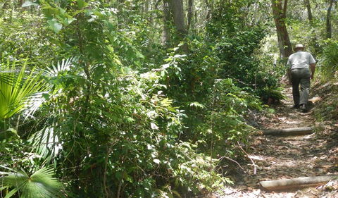 Bridle Trail - Northern Rivers Accommodation 0