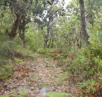 Kinchela Trig Lookout walk - Northern Rivers Accommodation