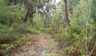 Book Hat Head NSW Attractions Northern Rivers Accommodation Northern Rivers Accommodation