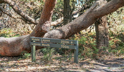 Middle Lagoon Walking Track - Northern Rivers Accommodation 0