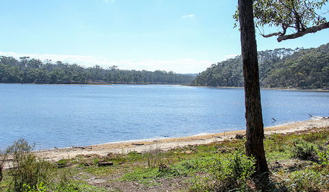 Middle Lagoon Walking Track - Northern Rivers Accommodation 1