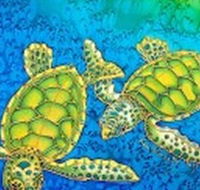 Sea Silks Gallery - Northern Rivers Accommodation