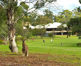 Pambula Merimbula Golf Club - Northern Rivers Accommodation 0
