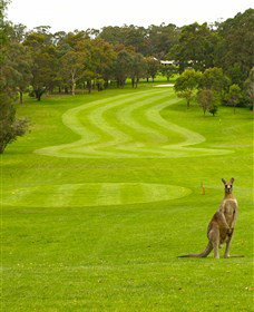 Pambula Merimbula Golf Club - Northern Rivers Accommodation 2
