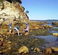 Sapphire Coast Marine Discovery Centre - Northern Rivers Accommodation