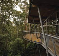 Tarkine Forest Adventures - Dismal Swamp - Northern Rivers Accommodation