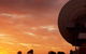 OTC Dish - thumb 1