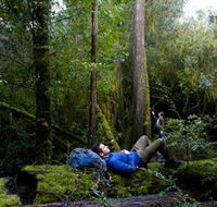 The Tarkine Drive - Northern Rivers Accommodation