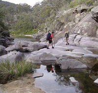 Nadgee Wilderness Walk - Northern Rivers Accommodation