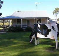 Millers Ice Cream - Northern Rivers Accommodation