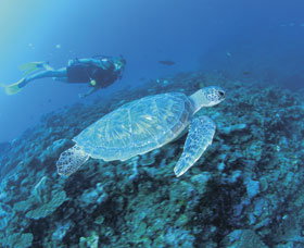 Ningaloo Reef - Northern Rivers Accommodation 1