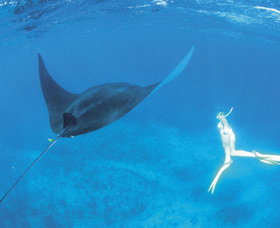 Ningaloo Reef - Northern Rivers Accommodation 3