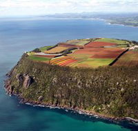 Table Cape - Northern Rivers Accommodation