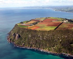 Table Cape - Northern Rivers Accommodation 0