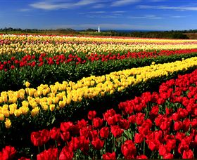 Table Cape - Northern Rivers Accommodation 2