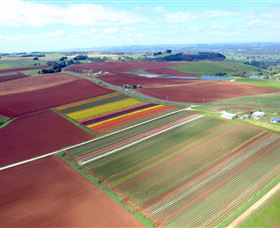 Table Cape - Northern Rivers Accommodation 4