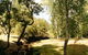 Oldina Picnic Area - thumb 0