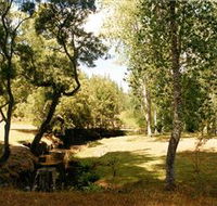 Oldina Picnic Area - Northern Rivers Accommodation
