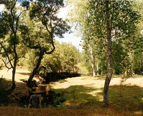 Oldina Picnic Area - Northern Rivers Accommodation 0