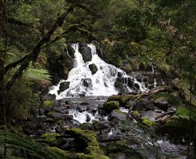 Hellyer Gorge - Northern Rivers Accommodation 2