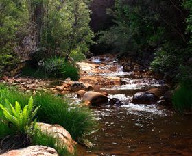 Hellyer Gorge - Northern Rivers Accommodation 1