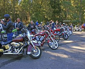 Hellyer Gorge - Northern Rivers Accommodation 3