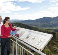 Whyte Hills Lookout - Northern Rivers Accommodation