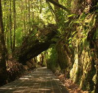 Philosopher Falls - Northern Rivers Accommodation