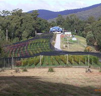 Motton Terraces - Northern Rivers Accommodation