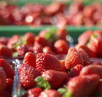 Turners Beach Berry Patch - Northern Rivers Accommodation