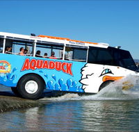 Aquaduck Safaris - Northern Rivers Accommodation