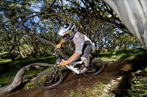 All Terrain Cycles - Northern Rivers Accommodation 0