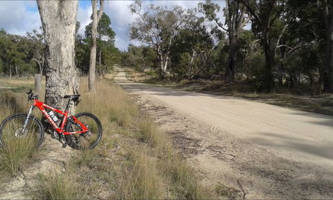 Granite Belt Bicycle Tours And Hire - Northern Rivers Accommodation 4